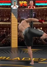 MMA Life Simulator 1